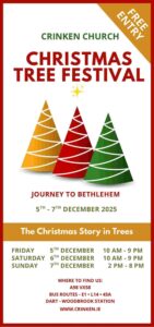 Christmas Tree Festival Ireland blog post image